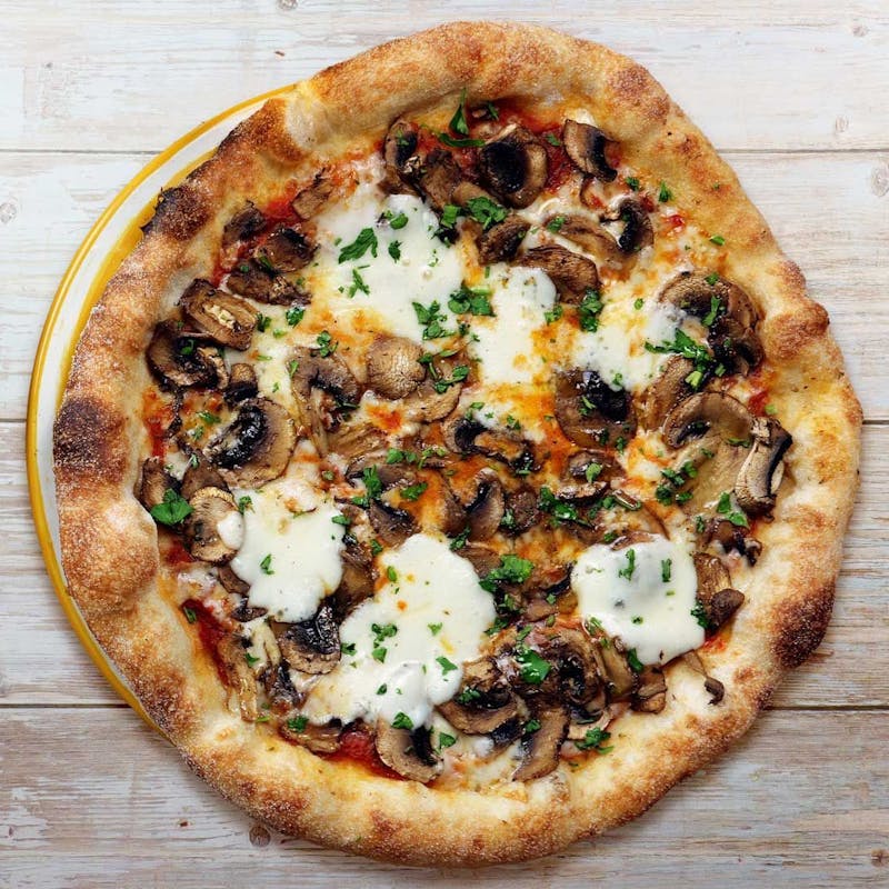 C&C - Funghi from Wildwood Salisbury